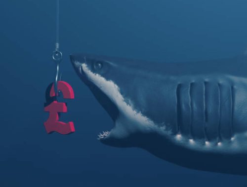 shark