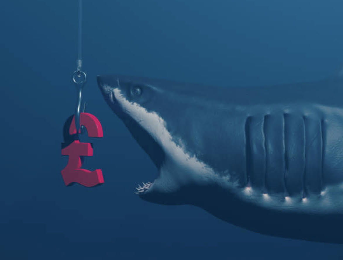 shark